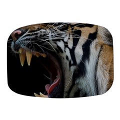 Angry Tiger Roar Mini Square Pill Box by Cemarart