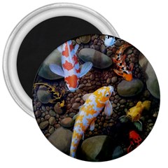 Koi Fish Clown Pool Stone 3  Magnets by Cemarart