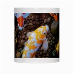 Koi Fish Clown Pool Stone White Mug Center