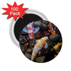 Koi Fish Clown Pool Stone 2 25  Magnets (100 Pack)  by Cemarart