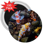 Koi Fish Clown Pool Stone 3  Magnets (100 pack) Front