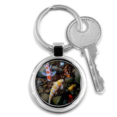 Koi Fish Clown Pool Stone Key Chain (round) by Cemarart