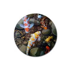 Koi Fish Clown Pool Stone Magnet 3  (round)