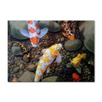 Koi Fish Clown Pool Stone Sticker A4 (100 pack) Front