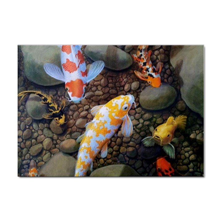 Koi Fish Clown Pool Stone Sticker A4 (100 pack)