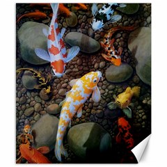 Koi Fish Clown Pool Stone Canvas 8  X 10  by Cemarart