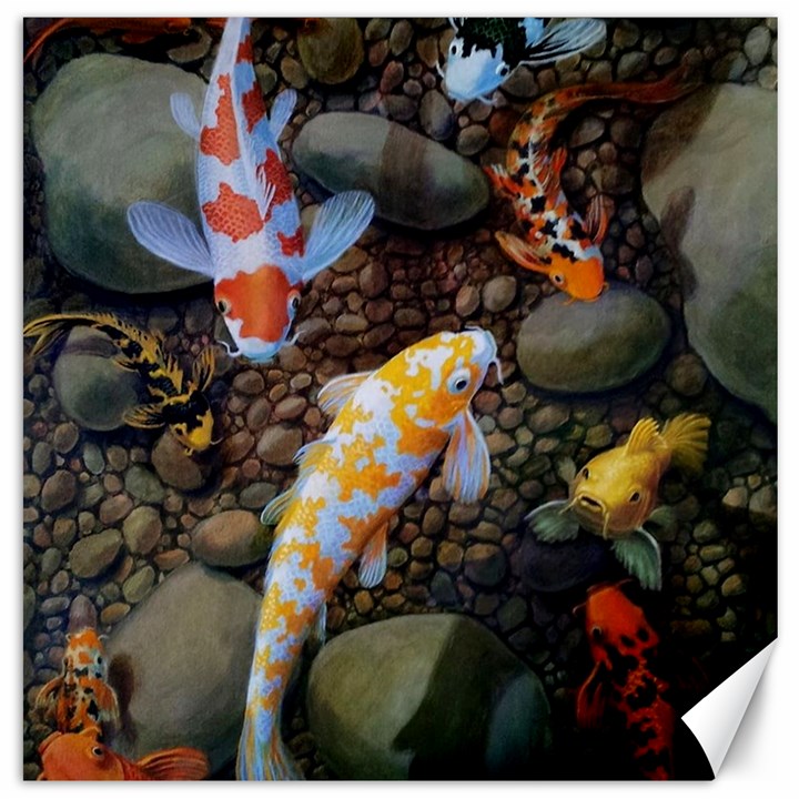 Koi Fish Clown Pool Stone Canvas 16  x 16 