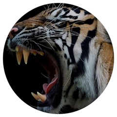 Angry Tiger Roar Round Trivet