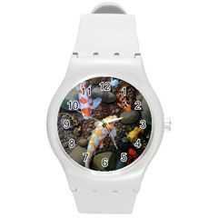 Koi Fish Clown Pool Stone Round Plastic Sport Watch (m) by Cemarart