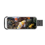 Koi Fish Clown Pool Stone Portable USB Flash (One Side) Front