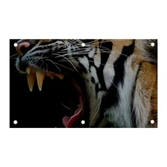 Angry Tiger Roar Banner And Sign 5  X 3  by Cemarart