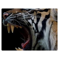 Angry Tiger Roar Two Sides Premium Plush Fleece Blanket (extra Small) by Cemarart