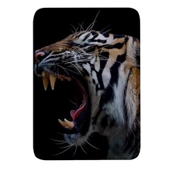 Angry Tiger Roar Rectangular Glass Fridge Magnet (4 Pack) by Cemarart