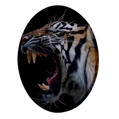 Angry Tiger Roar Oval Glass Fridge Magnet (4 Pack) by Cemarart