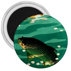 Japanese Koi Fish 3  Magnets