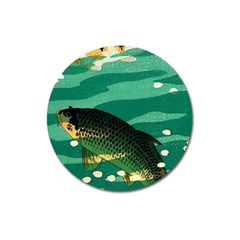 Japanese Koi Fish Magnet 3  (round)