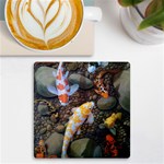 Koi Fish Clown Pool Stone UV Print Square Tile Coaster  Front