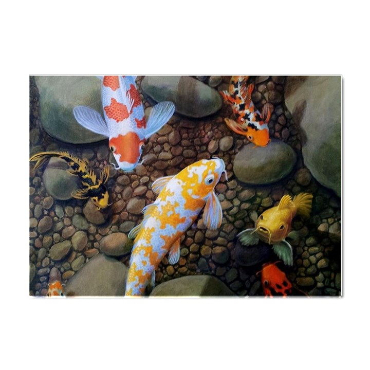 Koi Fish Clown Pool Stone Crystal Sticker (A4)