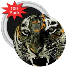 Angry Tiger Animal Broken Glasses 3  Magnets (100 Pack) by Cemarart