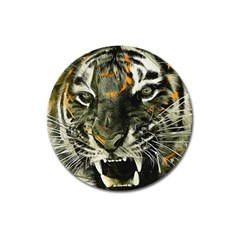 Angry Tiger Animal Broken Glasses Magnet 3  (round) by Cemarart