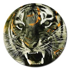 Angry Tiger Animal Broken Glasses Magnet 5  (round) by Cemarart