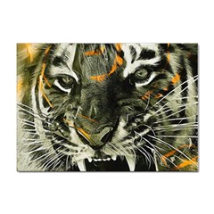 Angry Tiger Animal Broken Glasses Sticker A4 (10 Pack) by Cemarart