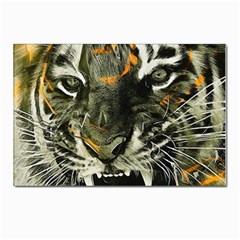 Angry Tiger Animal Broken Glasses Postcards 5  X 7  (pkg Of 10) by Cemarart