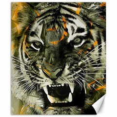 Angry Tiger Animal Broken Glasses Canvas 8  X 10  by Cemarart