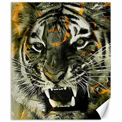 Angry Tiger Animal Broken Glasses Canvas 20  X 24  by Cemarart