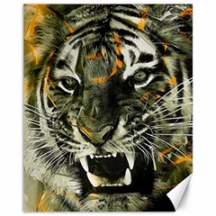 Angry Tiger Animal Broken Glasses Canvas 11  X 14  by Cemarart