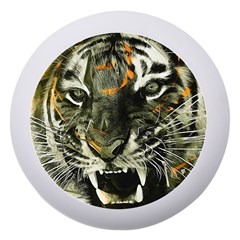 Angry Tiger Animal Broken Glasses Dento Box With Mirror by Cemarart