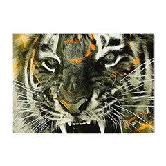 Angry Tiger Animal Broken Glasses Crystal Sticker (a4) by Cemarart