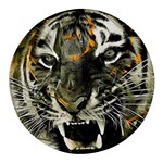 Angry Tiger Animal Broken Glasses Round Glass Fridge Magnet (4 pack) Front