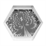 Kaleidoscopic Tropic Hexagon Wood Jewelry Box Front