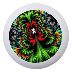 Kaleidoscopic Tropic Dento Box With Mirror by Grandong