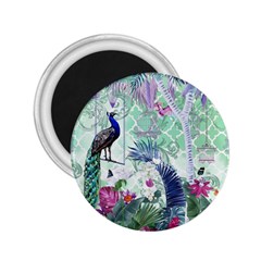 Peacock Parrot Bird Pattern Exotic Summer Green Flower Jungle Paradise 2 25  Magnets by Cemarart