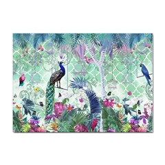 Peacock Parrot Bird Pattern Exotic Summer Green Flower Jungle Paradise Sticker A4 (10 Pack) by Cemarart