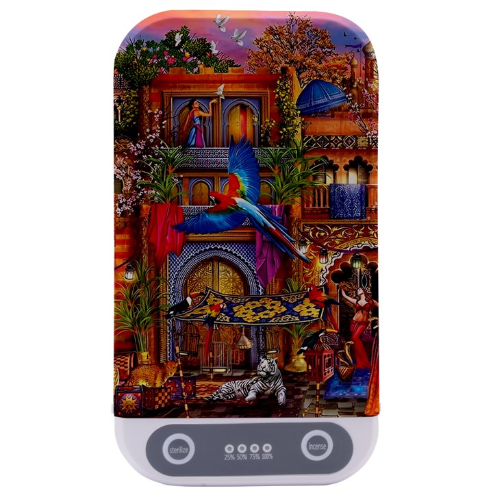 Arabian Street Art Colorful Peacock Tiger Man Parrot Horse Dancer Fantasy Sterilizers