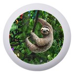 Sloth In Jungle Art Animal Fantasy Dento Box with Mirror Front