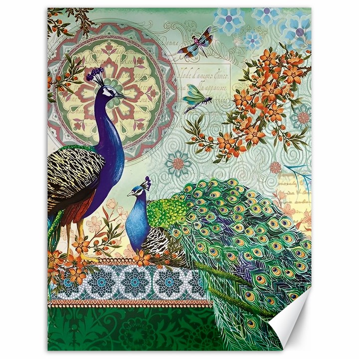 Royal Peacock Feather Art Fantasy Canvas 12  x 16 