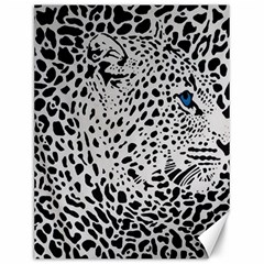 Leopard In Art, Animal, Graphic, Illusion Canvas 12  X 16  by nateshop