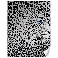 Leopard In Art, Animal, Graphic, Illusion Canvas 18  X 24  by nateshop