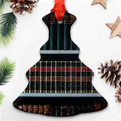 Books Bookshelf Library Education Ornament (christmas Tree)  by Grandong