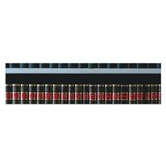 Books Bookshelf Library Education Oblong Satin Scarf (16  X 60 ) by Grandong