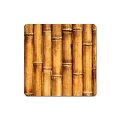 Brown Bamboo Texture  Square Magnet by nateshop