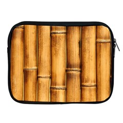 Brown Bamboo Texture  Apple Ipad 2/3/4 Zipper Cases by nateshop