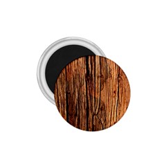 Brown Wooden Texture 1 75  Magnets by nateshop