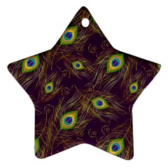 Feathers, Peacock, Patterns, Colorful Ornament (star)