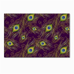 Feathers, Peacock, Patterns, Colorful Postcard 4 x 6  (pkg Of 10) by nateshop