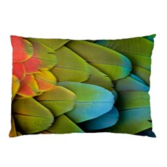 Parrot Feathers Texture Feathers Backgrounds Pillow Case (two Sides)